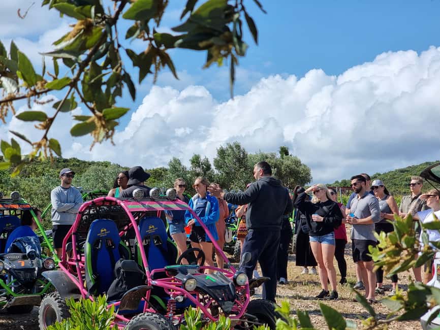 Korcula: Buggy Safari with Local Food and Wine Tasting - What the $129 price really covers