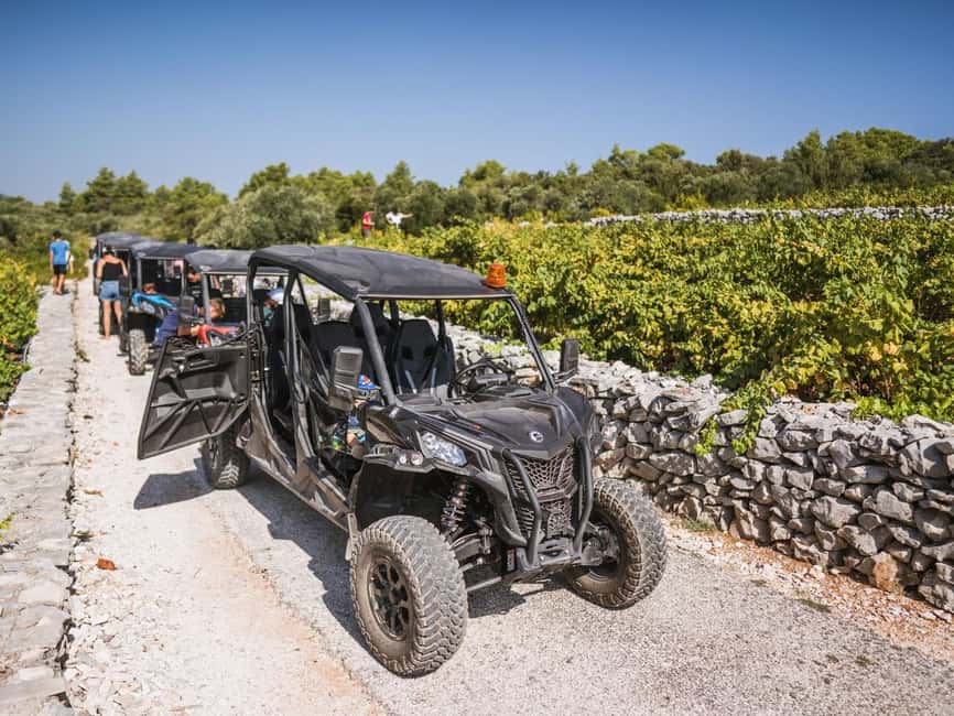 Korcula Buggy Safari With Wine Tasting - Through Korcula’s olive groves and vineyards