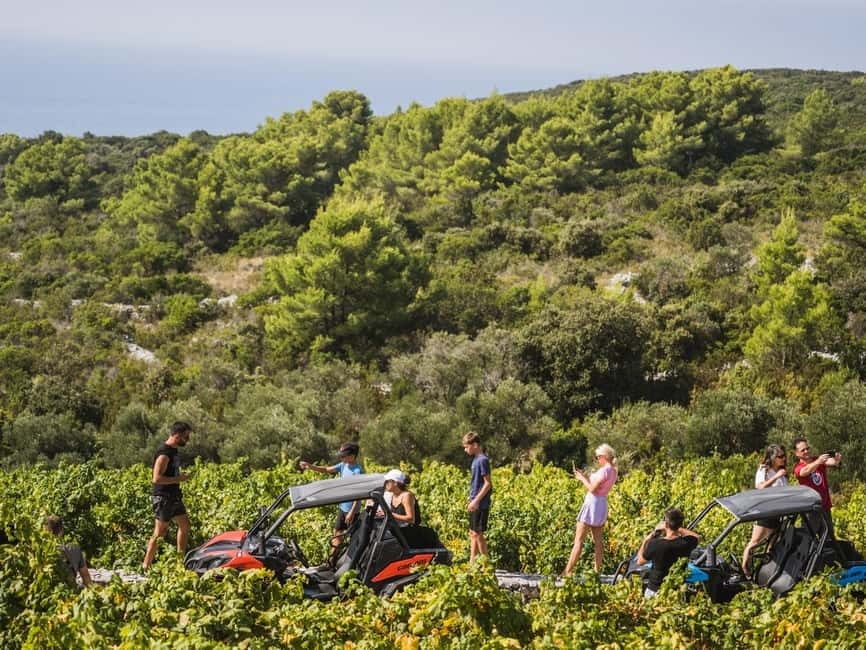 Korcula Buggy Safari With Wine Tasting - Who will enjoy this most?