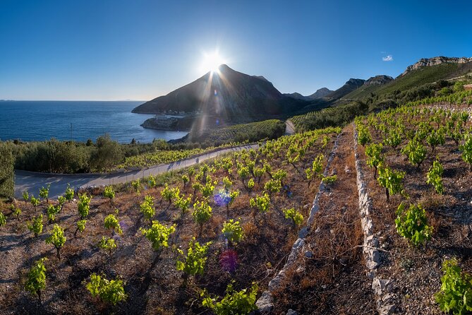 Korčula & Ston: Island Charms, Pelješac Delights & Wine Tasting - The optional Mali Ston oyster stop