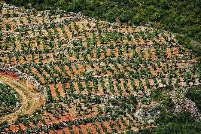Korčula & Ston: Island Charms, Pelješac Delights & Wine Tasting - The guide can shape the whole day