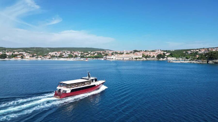 Krk:Rab & Pag Boat Trip with Swimming & City Tour with lunch - Lun’s ancient olive trees on Pag