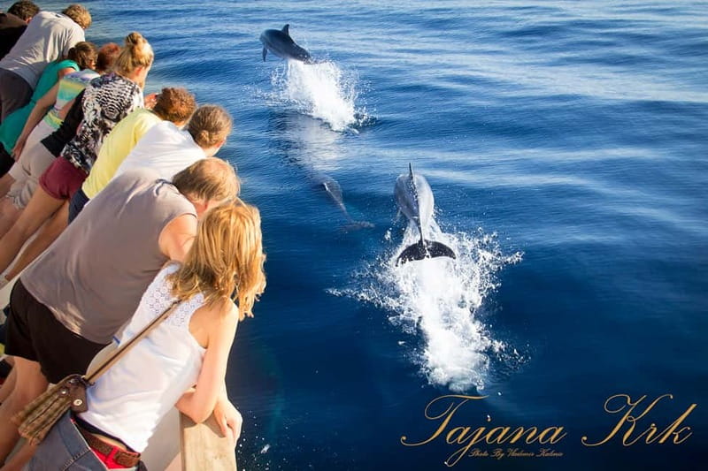 Krk:Rab & Pag Boat Trip with Swimming & City Tour with lunch - Practical tips for a smoother day