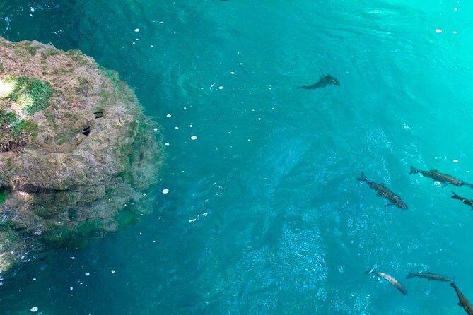 Krka Waterfalls Tour from Split with Boat Ride & Swimming - Why you cannot swim at the main falls