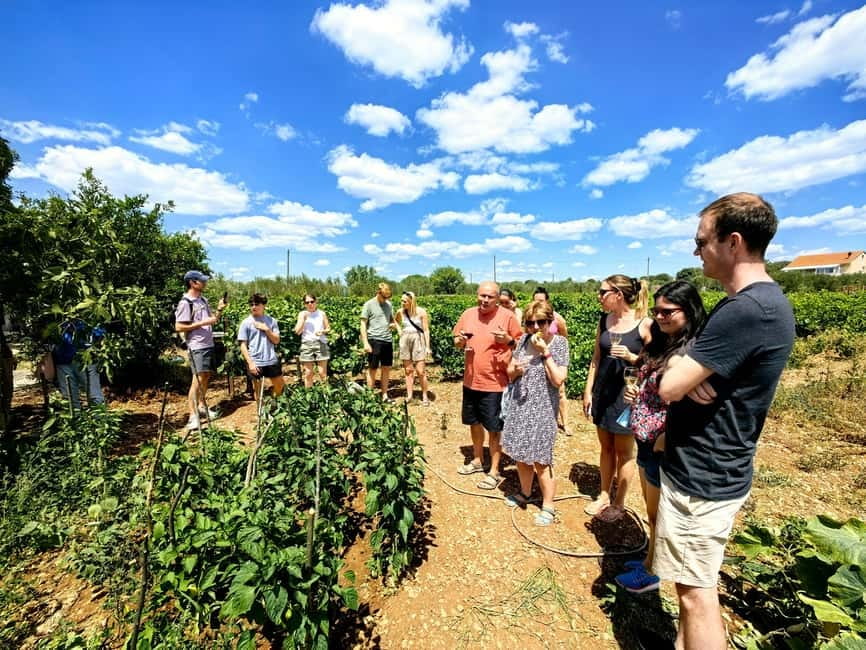 Krka waterfalls tour with lunch from Split - A farm-to-table lunch near the park