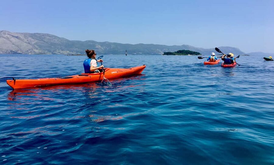Lumbarda: Half-Day Kayaking and History with Wine delight - The final stop: GRK wine, KLAŠUN pastries, and a pebble beach
