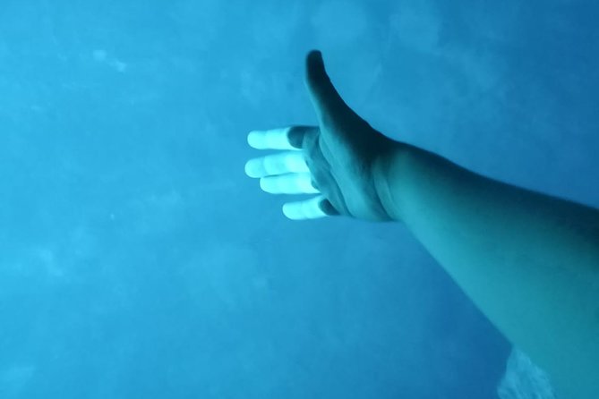 Luxury Blue Cave, Hvar and Vis Boat Tour from Split and Brac - Budikovac gives the day its swimming break