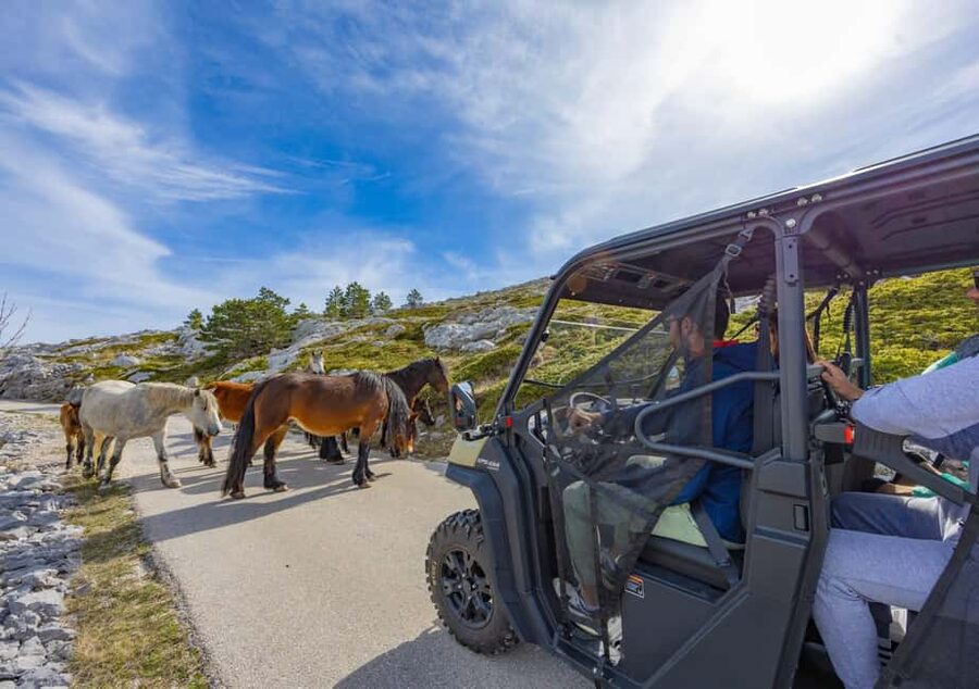 Makarska: Buggy Skywalk and Biokovo Tour - Why this Biokovo trip is more than a Skywalk visit