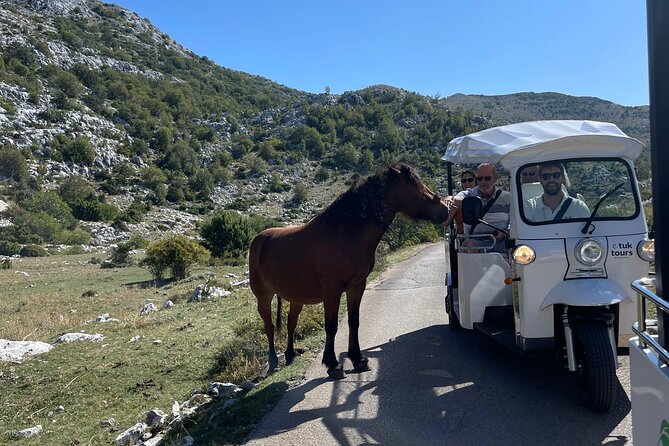 Makarska: Skywalk Tour with a Tuk Tuk - Skip the line ticket - Who should book this Makarska excursion?