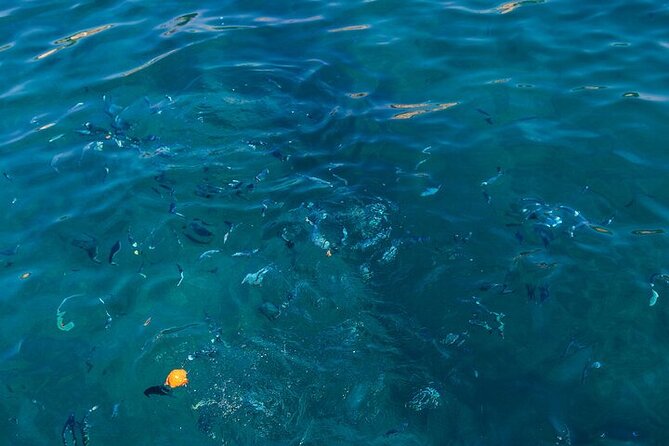Medulin: Glass Boat Tour Experience to Kamenjak - Porer lighthouse and coastal sightseeing