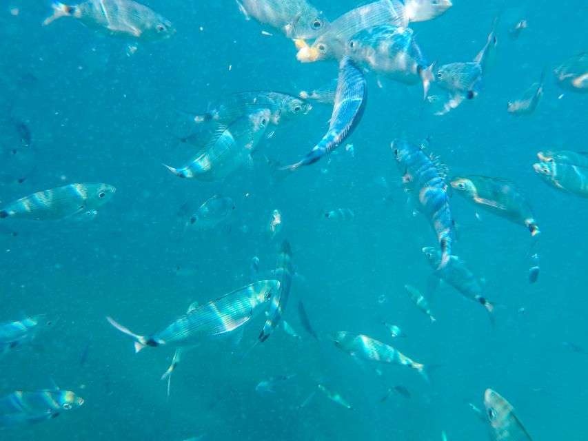 Medulin: Private Boat Tour with Captain - Who will enjoy this boat trip most