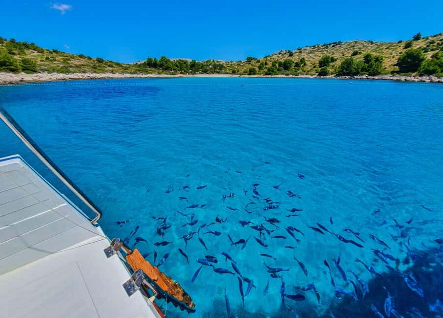 Mikado Kornati Excursion - Suha Punta brings lunch and the longest break