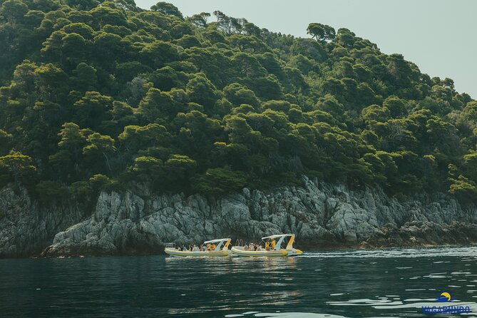 Mljet National Park trip - Pure Nature & Island Escape - Why Mljet makes a fine escape from Dubrovnik
