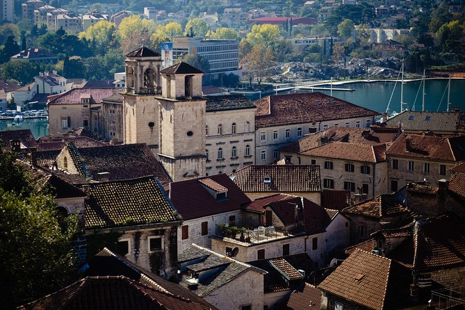 Montenegro Full-Day Trip from Dubrovnik with Optional Boat Trip - Who should book it?