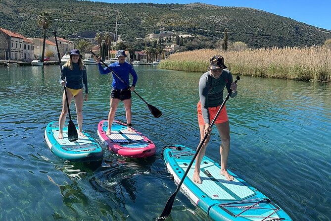 Ombla river Paddleboarding tour in Dubrovnik with snacks - Starting at 3:30 pm in Komolac