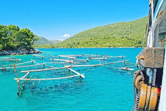 Oyster farm experience / Private day trip from Dubrovnik - Why the oyster stop is the heart of the day