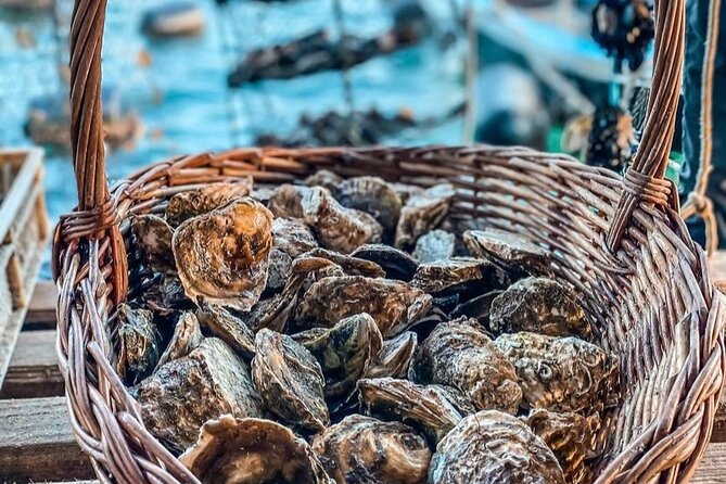 Oyster farm experience / Private day trip from Dubrovnik - What the guide brings to the day