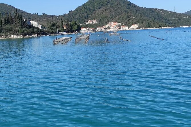 Oysters and mussels tasting with wine in Ston and Pelješac - From Dubrovnik to Ston in the morning