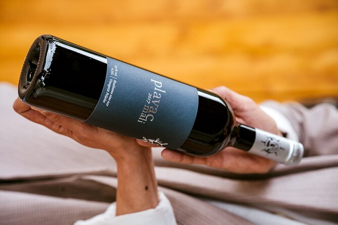 Oysters and mussels tasting with wine in Ston and Pelješac - What the $154.88 price gets you