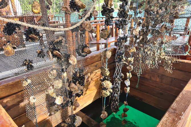 Oysters & Wine Tour From Dubrovnik (Small Group) - Key things to know before booking