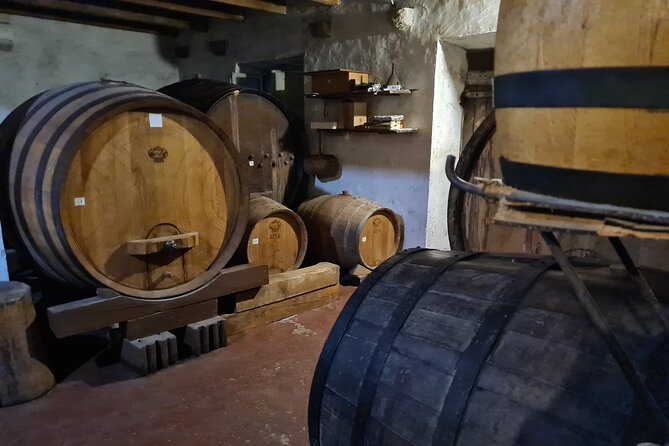 Oysters & Wine Tour From Dubrovnik (Small Group) - Pelješac wine in a family cellar