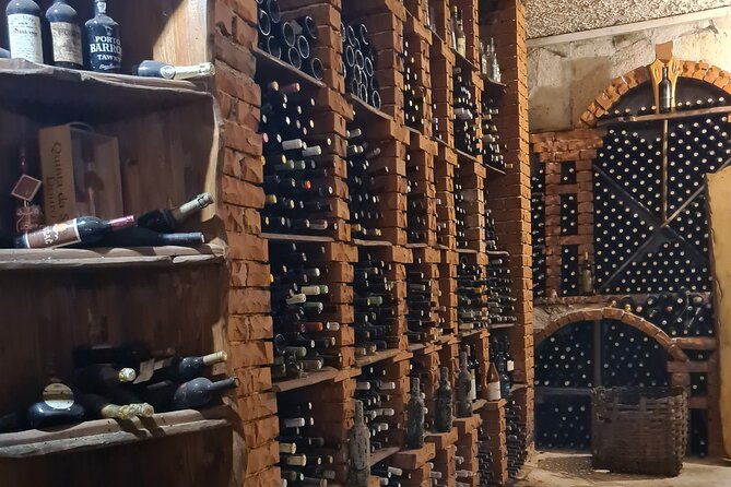 Oysters & Wine Tour From Dubrovnik (Small Group) - How much time you really get at each stop