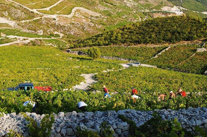 Oysters & Wine Tour From Dubrovnik (Small Group) - Who will enjoy this most