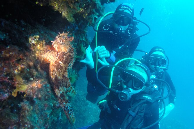 PADI Discover Scuba Diving in Dubrovnik - Second underwater session: up to 12 meters