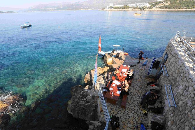 PADI Discover Scuba Diving in Dubrovnik - What you may see in Dubrovnik’s Adriatic water