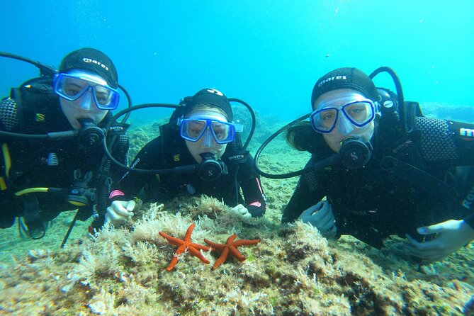 PADI Discover Scuba Diving in Dubrovnik - First underwater session: 6 meters and 45 minutes