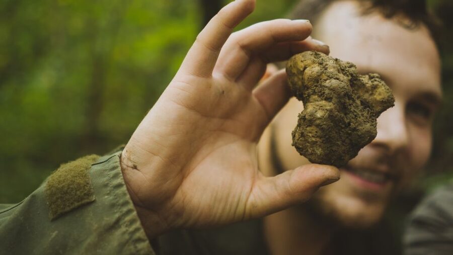 Paladini: Truffle Hunting Tour with 3-Course Tasting Menu - Starting in Paladini With the Karlić Family