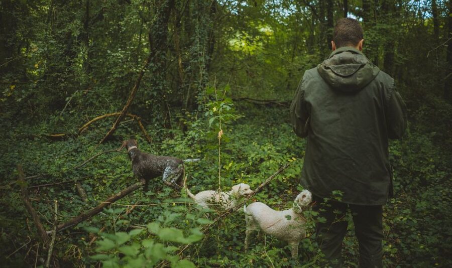 Paladini: Truffle Hunting Tour with 3-Course Tasting Menu - How Much Value Do You Get for $127?