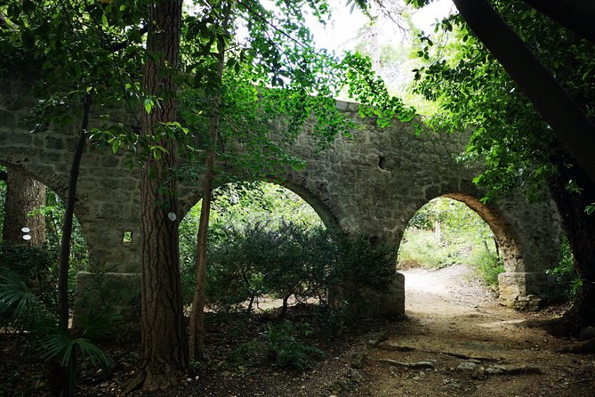Panorama Dubrovnik & Arboretum Trsteno PRIVATE TOUR - Trsteno Arboretum: gardens with a historic setting