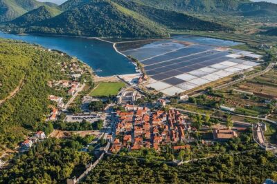 Peljesac and Ston Private Wine Tour with Tastings from Dubrovnik