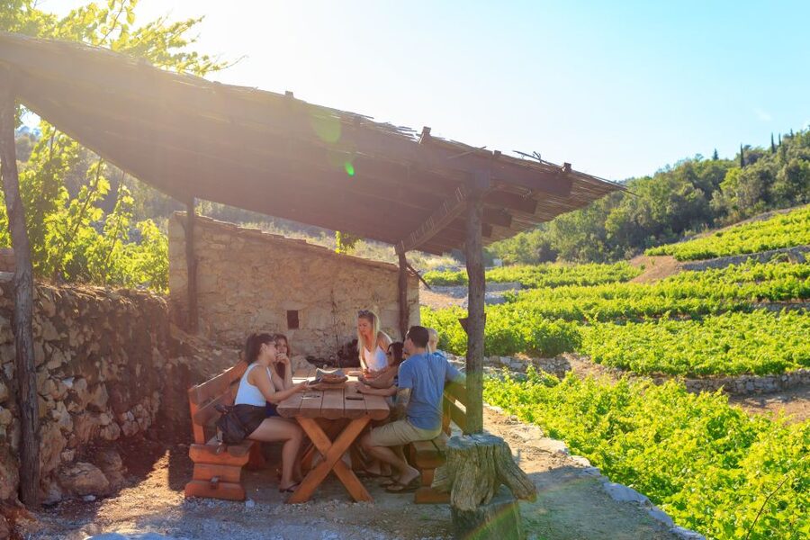 Pelješac Full-Day Wine and Food Tour from Dubrovnik - Key points at a glance