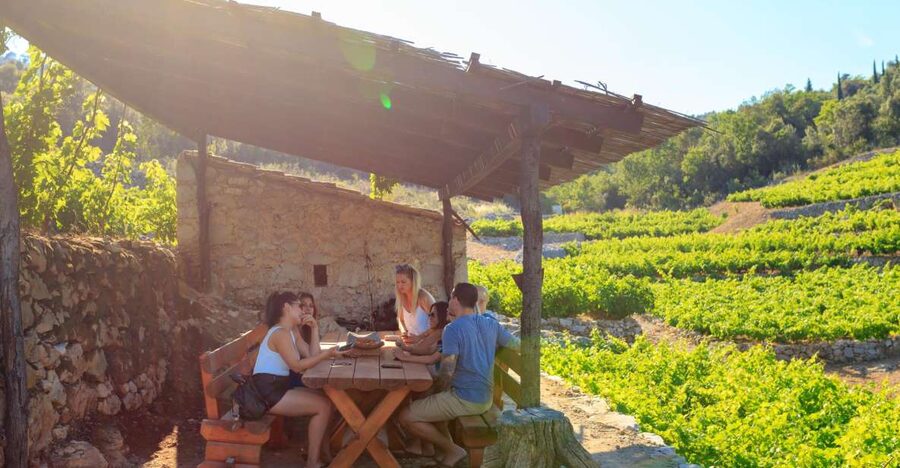 Pelješac Full-Day Wine and Food Tour from Dubrovnik - Why this Pelješac day trip feels different