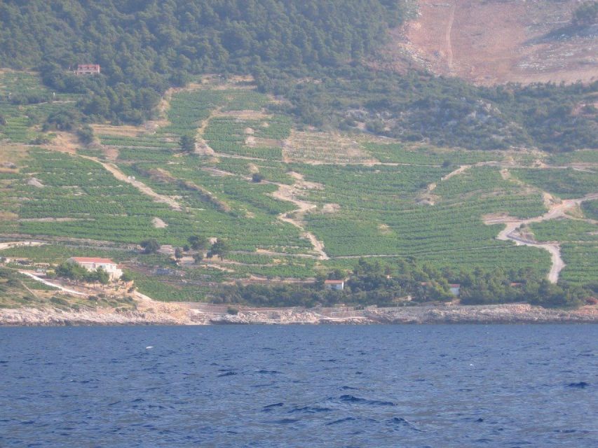 Peljesac Peninsula & Korcula Island Day-Trip from Dubrovnik - Who should book this day trip