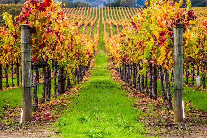 Peljesac Peninsula Wine Tasting Luxury Tour from Dubrovnik - A private day gives you flexibility, but less formal commentary