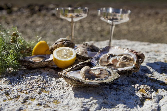 Peljesac Peninsula Wine Tasting Luxury Tour from Dubrovnik - Timing the day without rushing