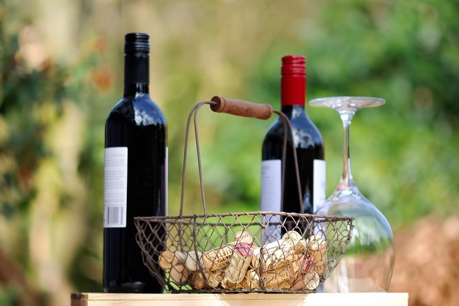 Peljesac Peninsula Wine Tasting Luxury Tour from Dubrovnik - Who should book this Peljesac tour