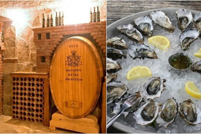 Peljesac Peninsula Wine Tasting Luxury Tour from Dubrovnik - Peljesac wine tasting with the coast in view