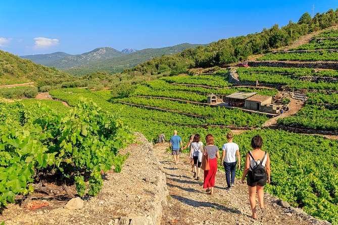 Peljesac&Ston Small-Group Food & Wine Experience from Dubrovnik - Why this day trip feels different from a standard wine tour