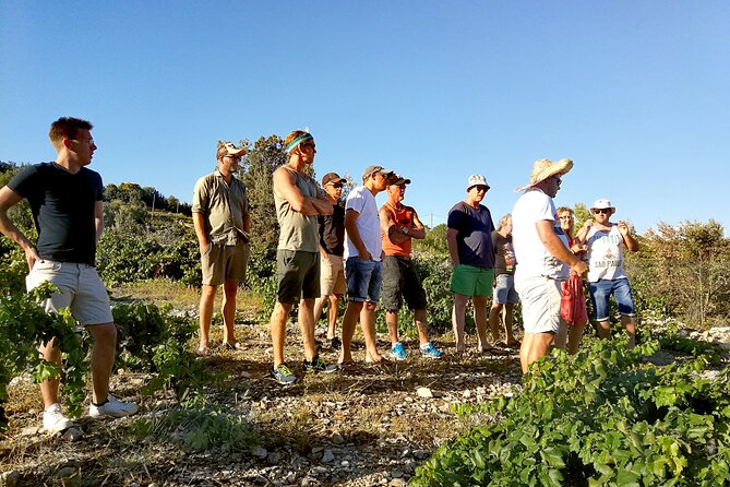 Peljesac&Ston Small-Group Food & Wine Experience from Dubrovnik - The family lunch in a rustic konoba