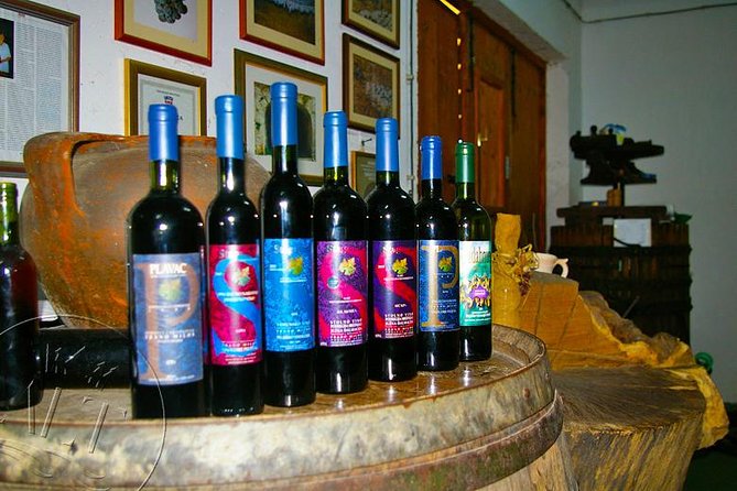 Peljesac Vineyards & Oysters - Private Day Trip from Dubrovnik-Mercedes Vehicle - Oysters by boat: the most distinctive add-on