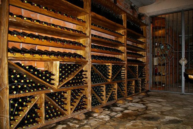 Peljesac Vineyards & Oysters - Private Day Trip from Dubrovnik-Mercedes Vehicle - The guide is part of the value