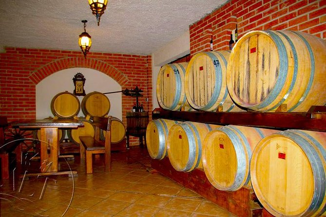 Peljesac Vineyards & Oysters - Private Day Trip from Dubrovnik-Mercedes Vehicle - Ston walls and salt flats: a compact first stop