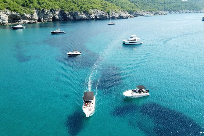Peljesac Wine and Gastro Tour from Dubrovnik - Four to five wineries across steep southern vineyards