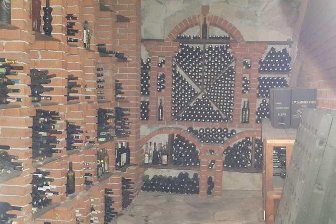 Pelješac Wine, Beach and Lunch - Relaxing Tour from Dubrovnik - Who should book this Pelješac day trip?