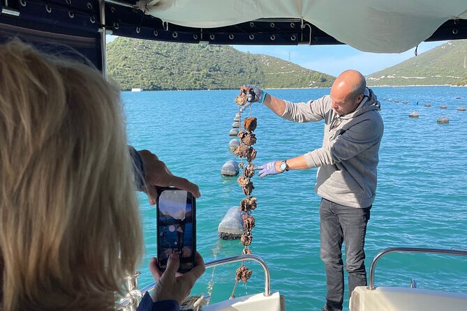 Pelješac - Wine, Oysters and Food Experience from Dubrovnik - Key points at a glance