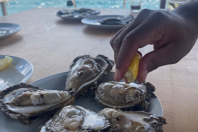 Pelješac - Wine, Oysters and Food Experience from Dubrovnik - First winery: family wine and liqueur